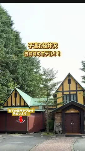 puchi_maoのTikTok投稿