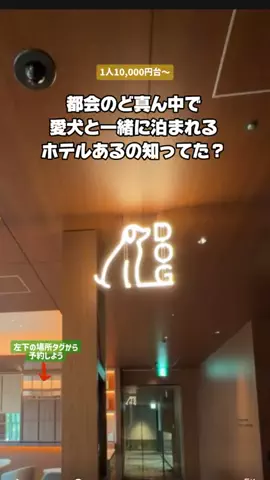 puchi_maoのTikTok投稿