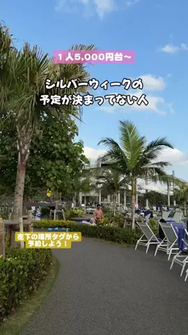 puchi_maoのTikTok投稿