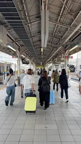 さくおグルメのTikTok投稿