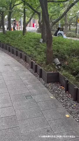 マックで働く女の子のTikTok投稿
