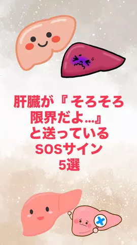 寝酒してる奴全員見ろのTikTok投稿