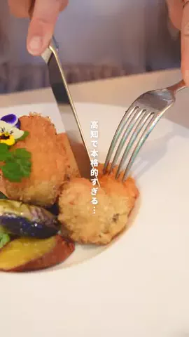 高知の山崎夫婦のTikTok投稿
