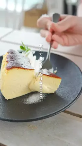 高知の山崎夫婦のTikTok投稿