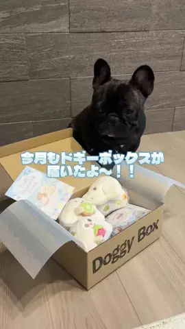 よだれ🤤のTikTok投稿