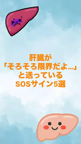 寝酒してる奴全員見ろのTikTok投稿