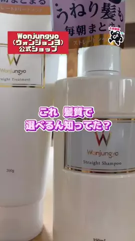 tomo_tani_LifeのTikTok投稿