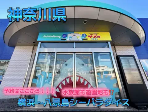じゅりのTikTok投稿