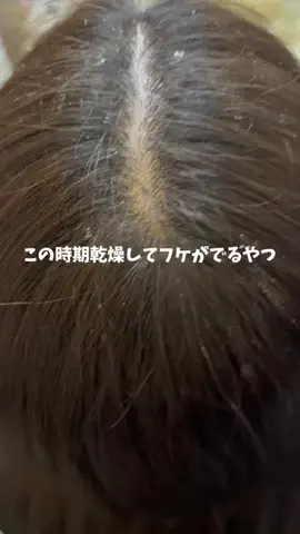 肌だけ綺麗なママのTikTok投稿