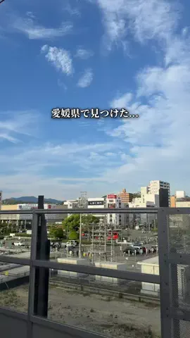 はれ｜おしゃれ愛媛🍊💨のTikTok投稿