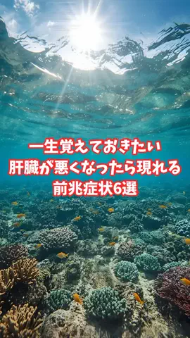 沖縄酒豪健康女子のTikTok投稿