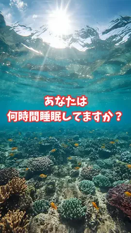沖縄酒豪健康女子のTikTok投稿