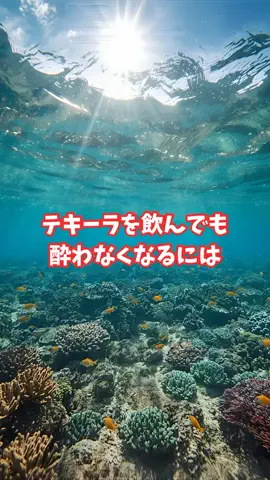 沖縄酒豪健康女子のTikTok投稿