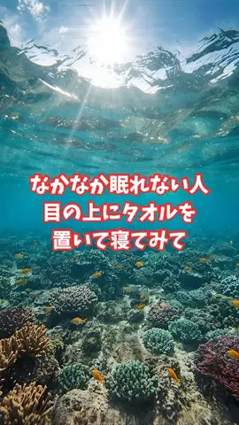 沖縄酒豪健康女子のTikTok投稿