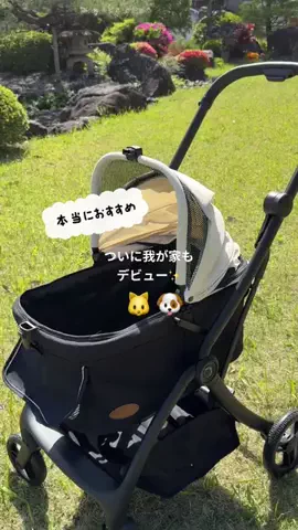 みゆかのTikTok投稿
