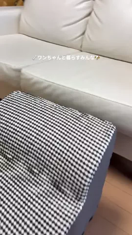 みゆかのTikTok投稿