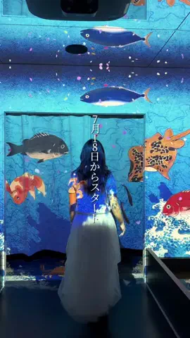 せいな飯のTikTok投稿