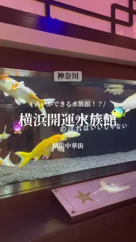 みみっく|お出かけスポット紹介💡のTikTok投稿