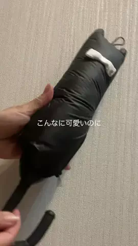 博多めんたい子ちゃん。のTikTok投稿