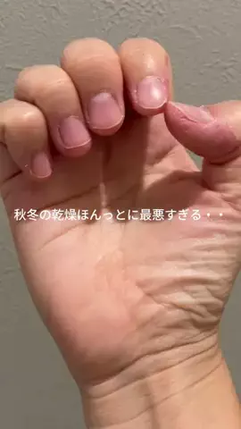 博多めんたい子ちゃん。のTikTok投稿