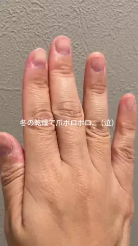 博多めんたい子ちゃん。のTikTok投稿