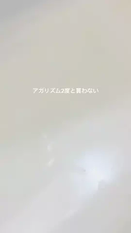博多めんたい子ちゃん。のTikTok投稿
