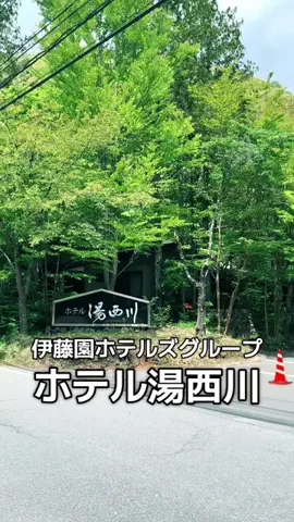 🎣🏕ともママ⛩🍺のTikTok投稿