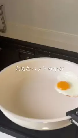 はづき｜自然と動物にやさしい暮らしのTikTok投稿
