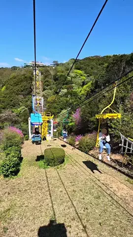わら旅夫婦のTikTok投稿