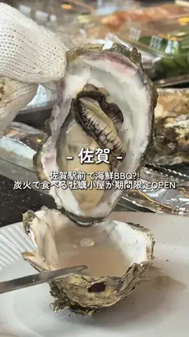 さがおいしいのTikTok投稿