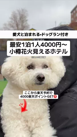 ももみ｜年100泊旅好き女子のTikTok投稿