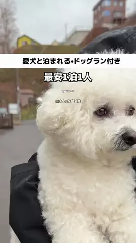 ももみ｜年100泊旅好き女子のTikTok投稿