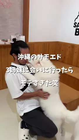 ピンクマンのTikTok投稿