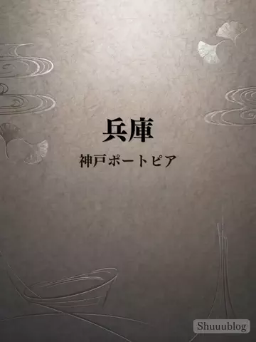 shuuublog/ホテル紹介のTikTok投稿