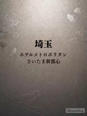 shuuublog/ホテル紹介のTikTok投稿