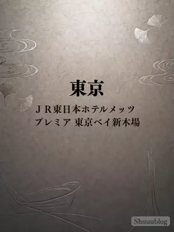 shuuublog/ホテル紹介のTikTok投稿