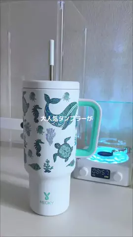 しずくのTikTok投稿