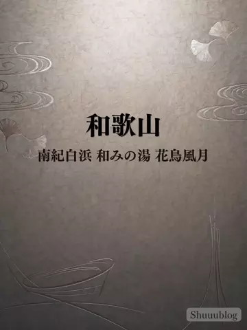 shuuublog/ホテル紹介のTikTok投稿