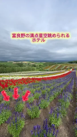 ラベちゃん🪻温泉旅♨️のTikTok投稿