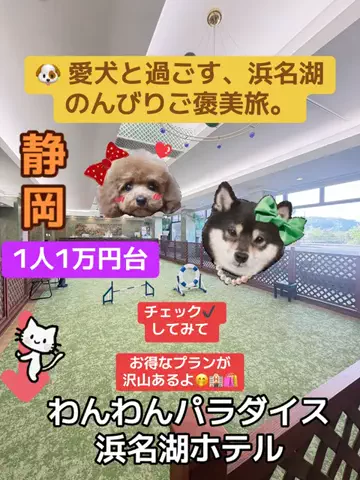 ラベちゃん🪻温泉旅♨️のTikTok投稿