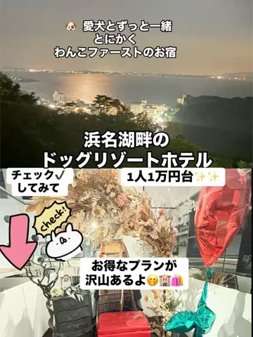ラベちゃん🪻温泉旅♨️のTikTok投稿