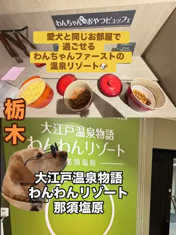 ラベちゃん🪻温泉旅♨️のTikTok投稿