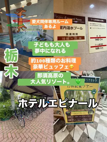 ラベちゃん🪻温泉旅♨️のTikTok投稿