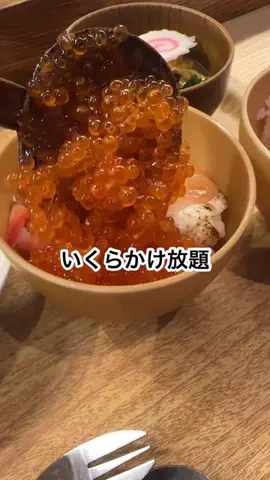 札幌住みK家のおでかけログのTikTok投稿