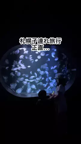 札幌住みK家のおでかけログのTikTok投稿