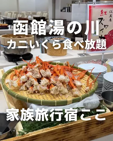 札幌住みK家のおでかけログのTikTok投稿