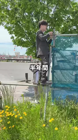 Sho建築士のTikTok投稿