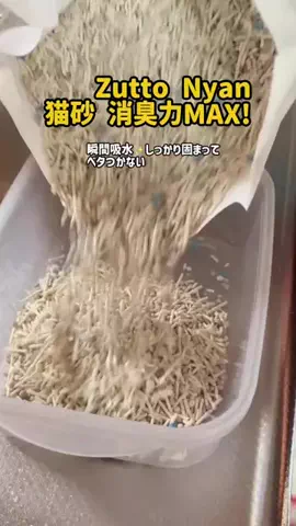 まゆち💊👽紹介マンのTikTok投稿