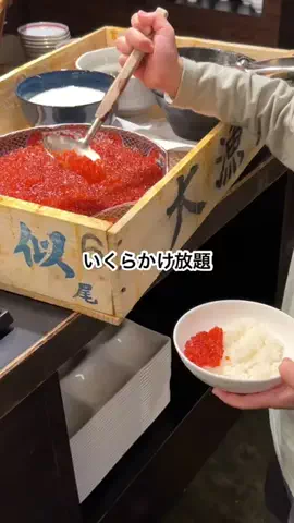 札幌住みK家のおでかけログのTikTok投稿