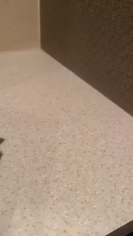 ぴょこ🌙💘のTikTok投稿